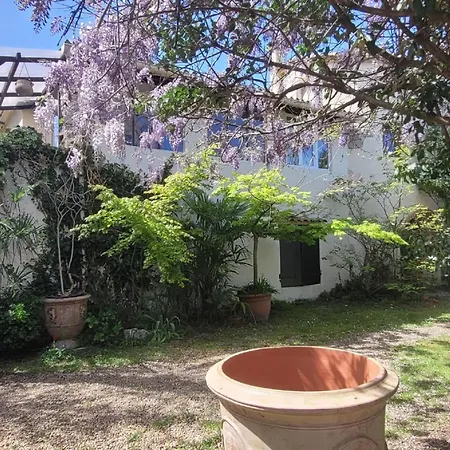 Vakantiehuis Majestic In With Hot Tub Laroque (Herault)